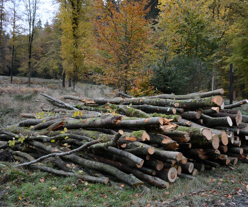 Travail en hauteur avec élévateur